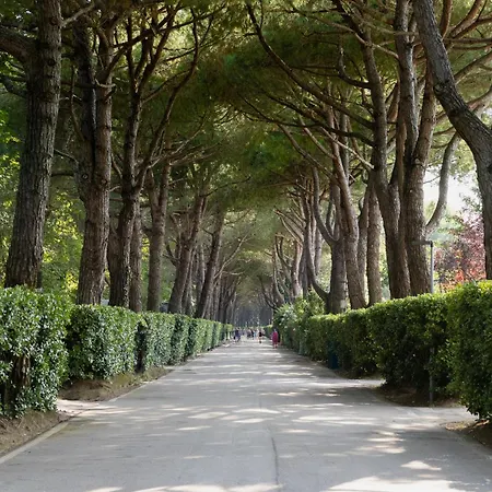 Campsite New In Ca' Savio